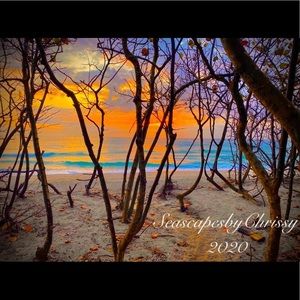 Seascape Photo Art Prints